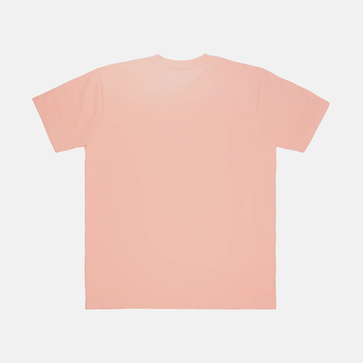 1622-sugar-kane-tee-pale-pink-3.webp Sugar KANE Tee - Pale Pink